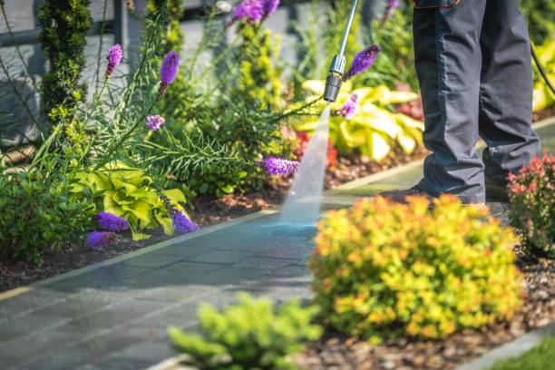 Best Sidewalk and Walkway Cleaning  in Denison, TX