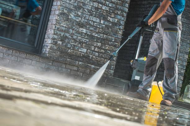 Best Pre-Holiday Cleaning  in Denison, TX